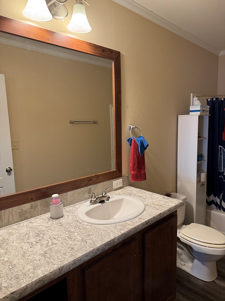 4712 S County Rd 1200, Midland, Texas image 48