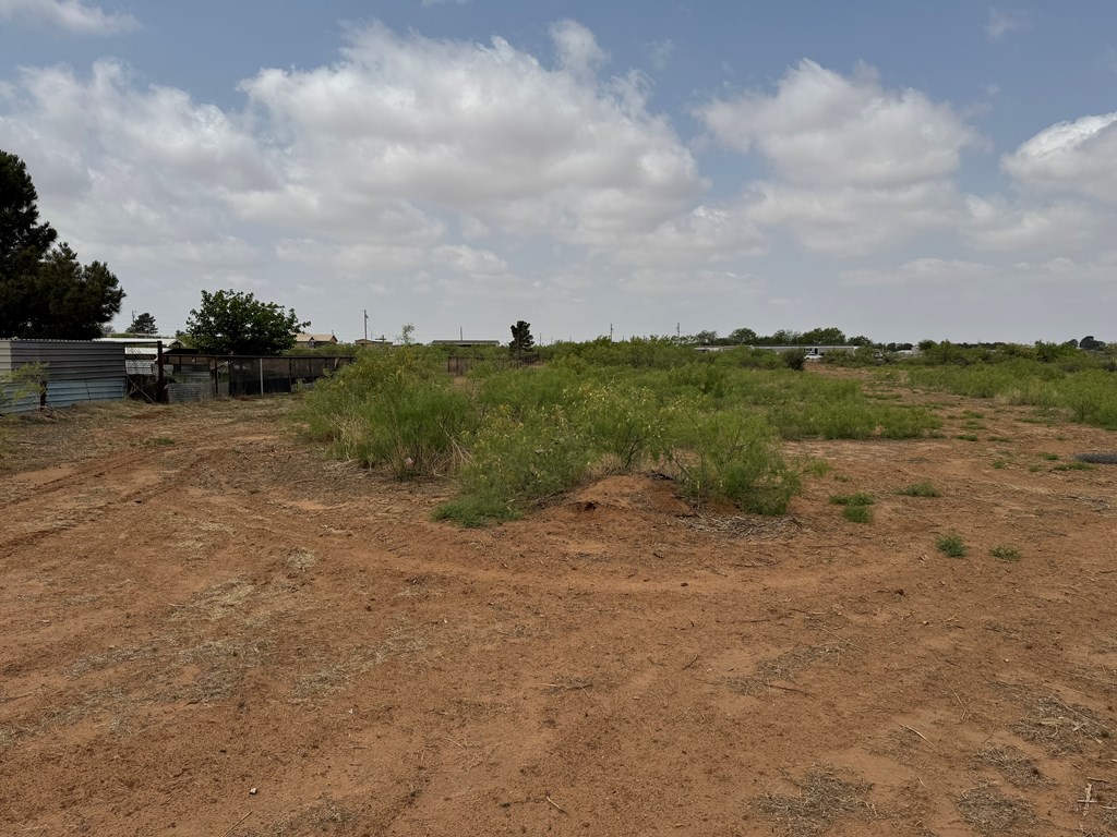 4712 S County Rd 1200, Midland, Texas image 22