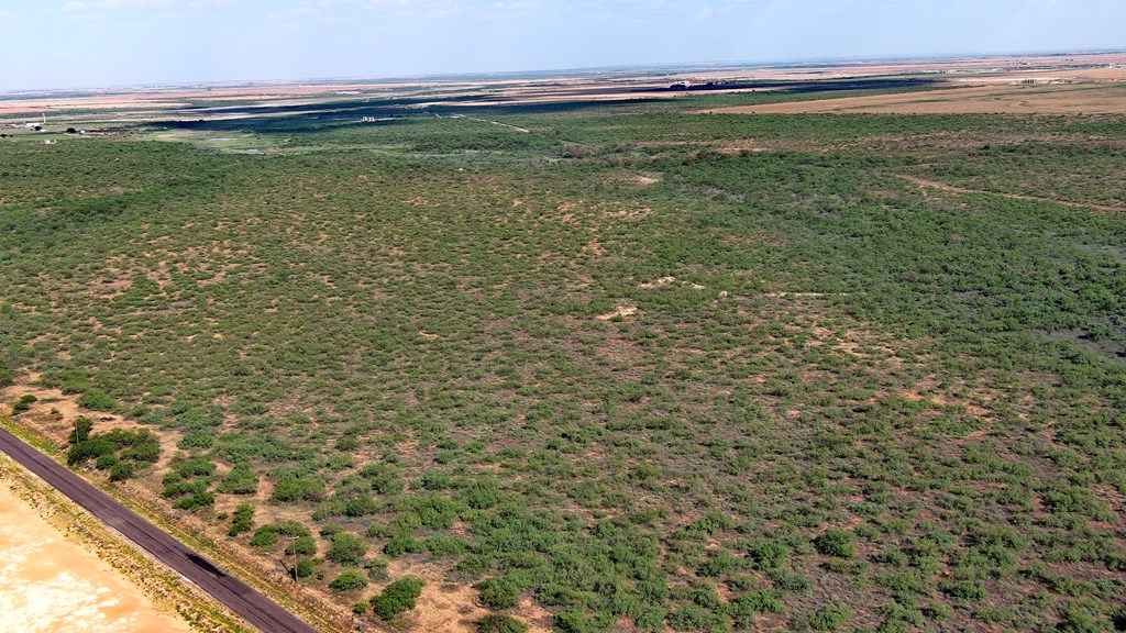 0000 State Hwy 137, Lenorah, Texas image 12