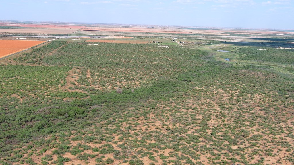 0000 State Hwy 137, Lenorah, Texas image 6