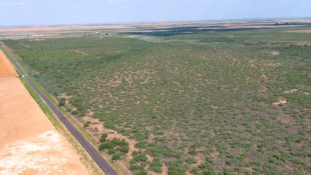 0000 State Hwy 137, Lenorah, Texas image 11