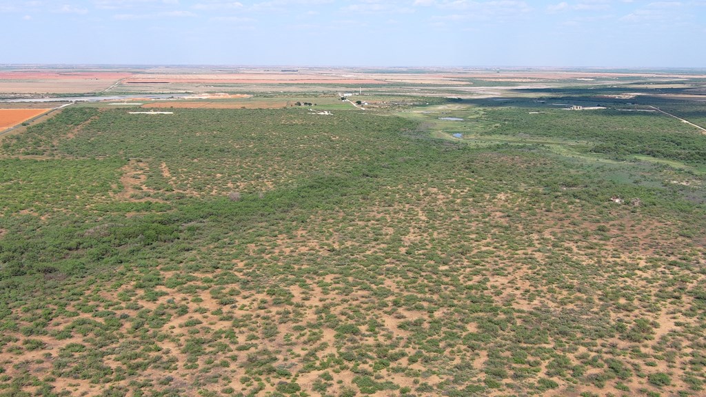 0000 State Hwy 137, Lenorah, Texas image 8