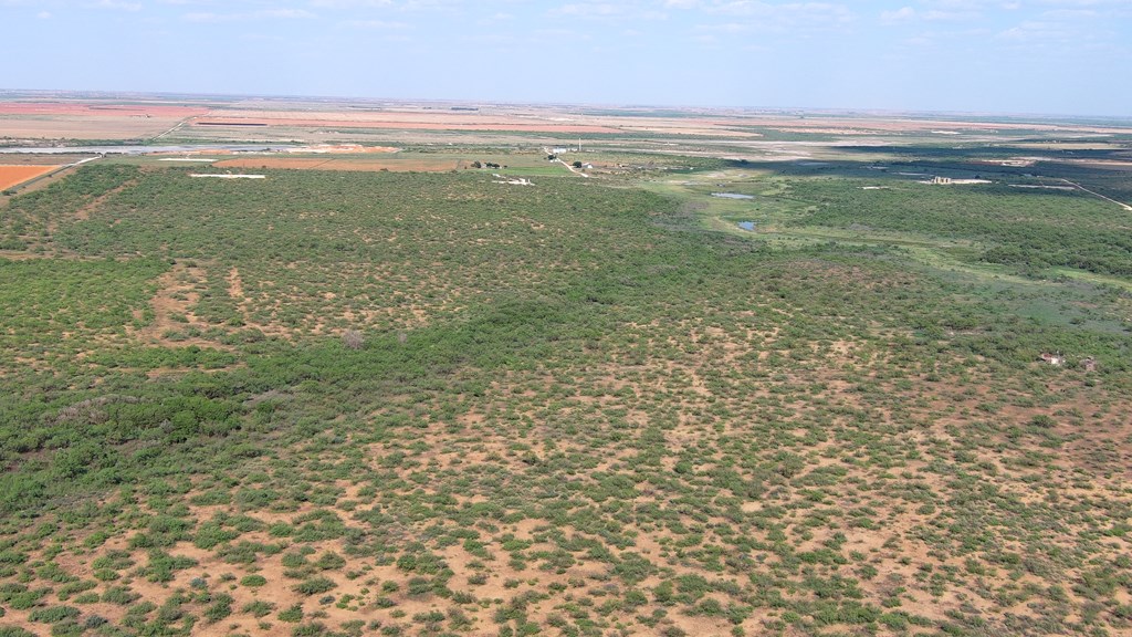 0000 State Hwy 137, Lenorah, Texas image 7