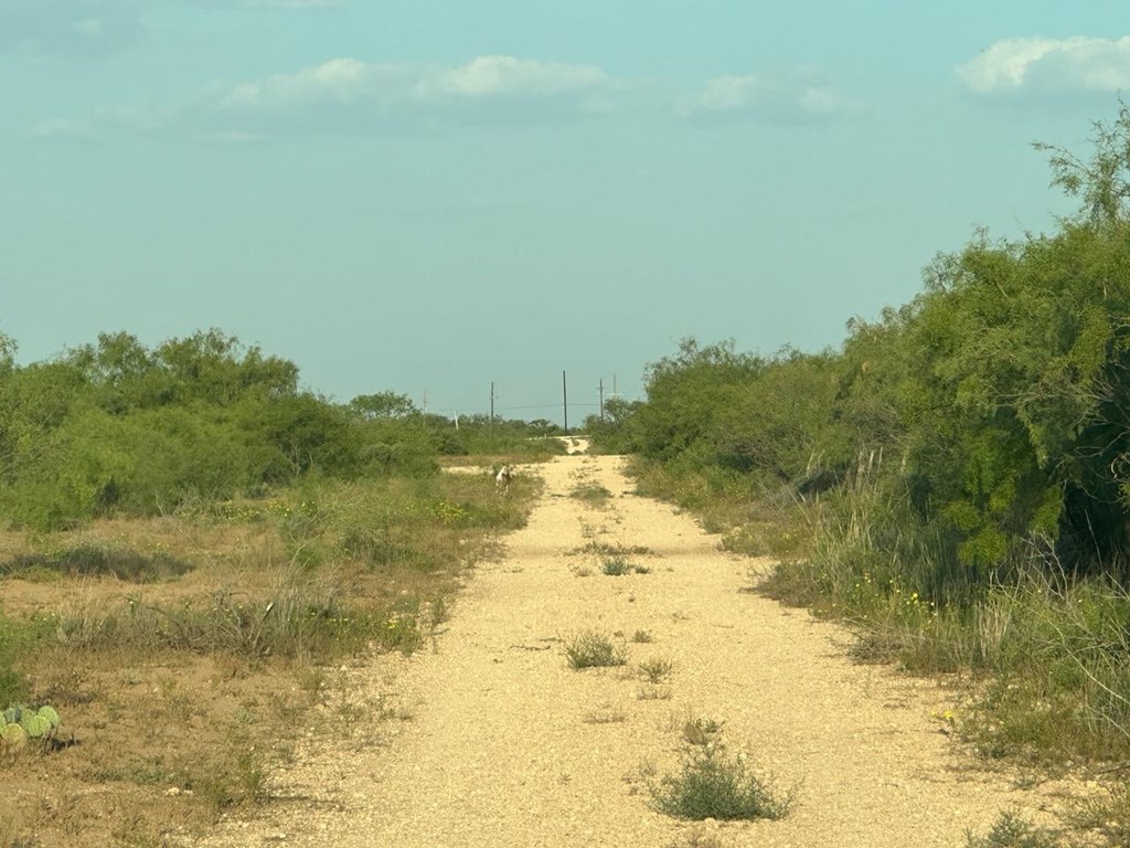 0000 State Hwy 137, Lenorah, Texas image 35