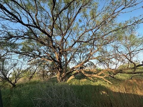 0000 State Hwy 137, Lenorah, Texas image 33