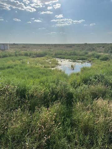 0000 State Hwy 137, Lenorah, Texas image 38