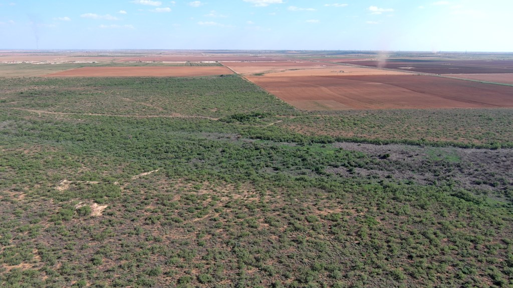 0000 State Hwy 137, Lenorah, Texas image 4
