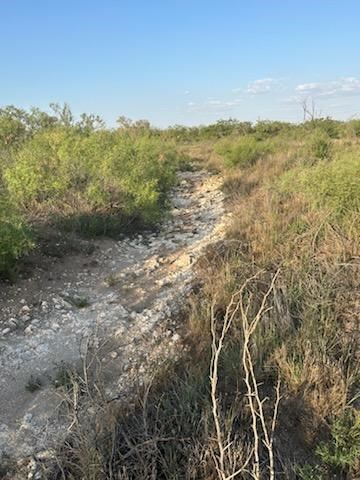 0000 State Hwy 137, Lenorah, Texas image 31