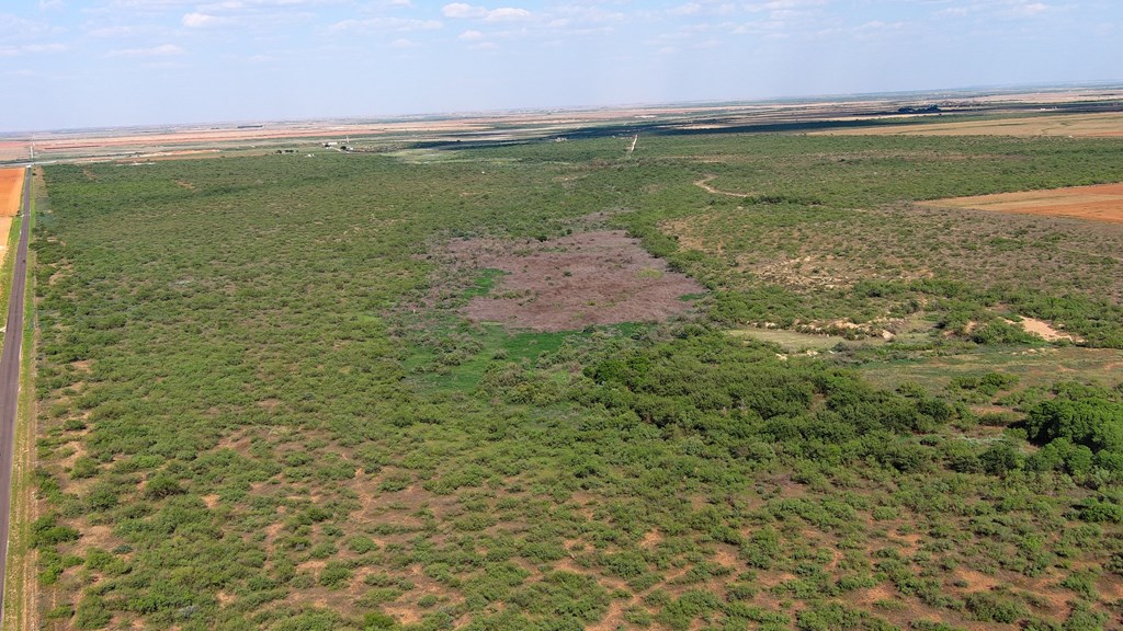 0000 State Hwy 137, Lenorah, Texas image 13