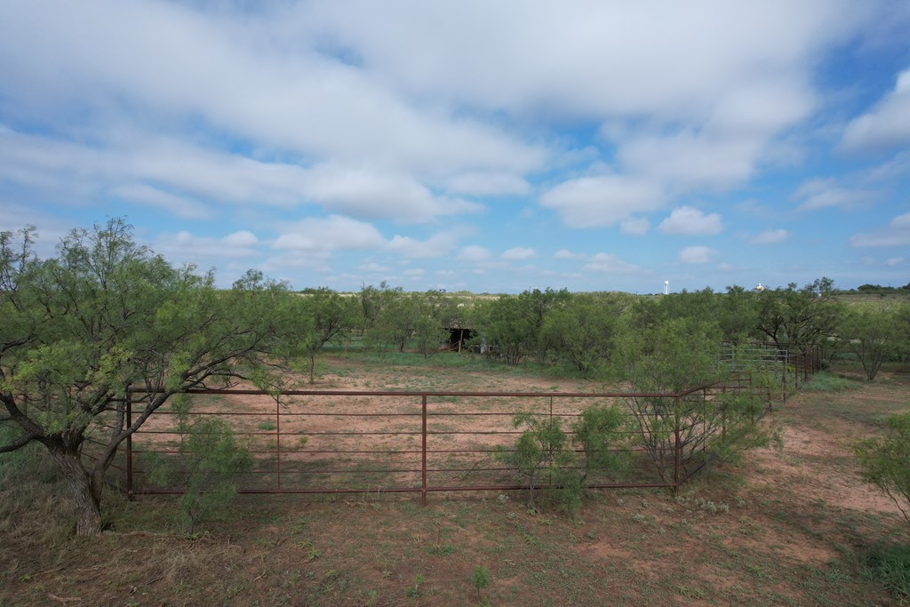 0000 Memorial Way, Snyder, Texas image 11
