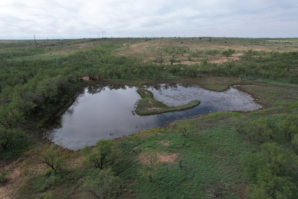 0000 Memorial Way, Snyder, Texas image 3