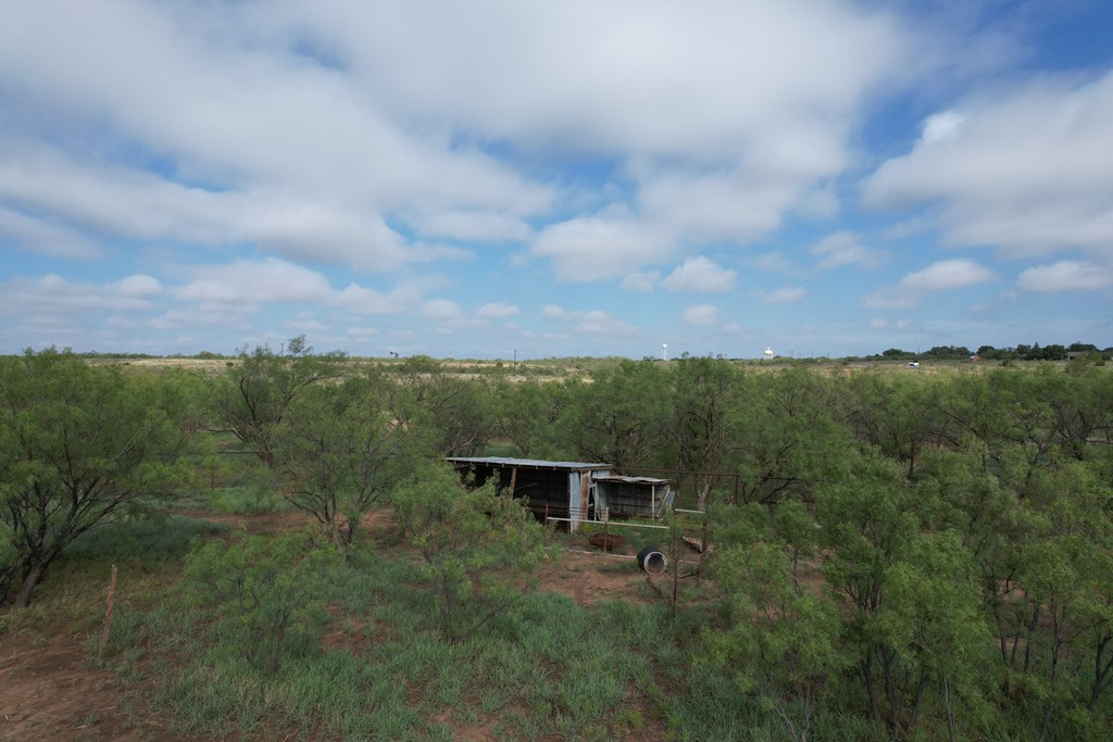0000 Memorial Way, Snyder, Texas image 10