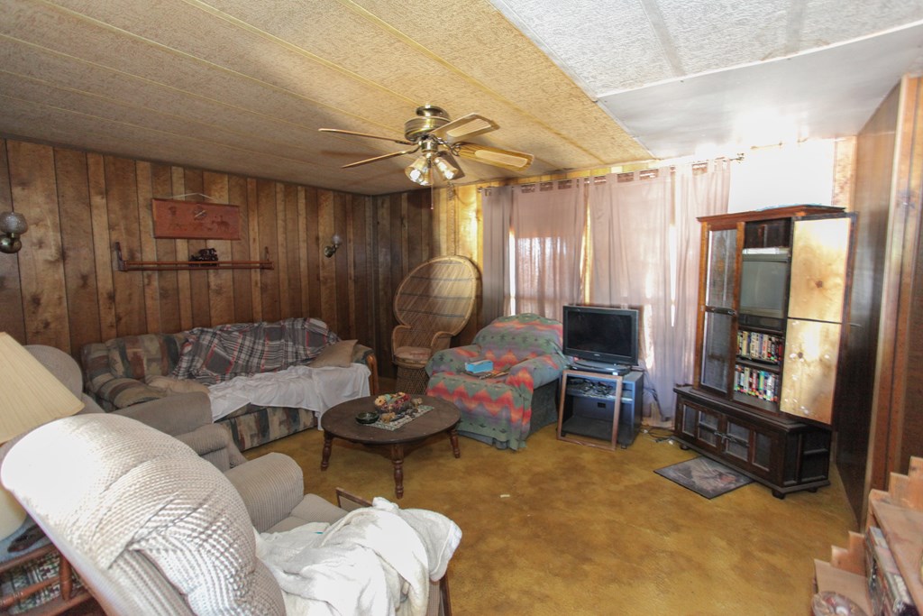 5201 Dawson Dr, Big Spring, Texas image 4