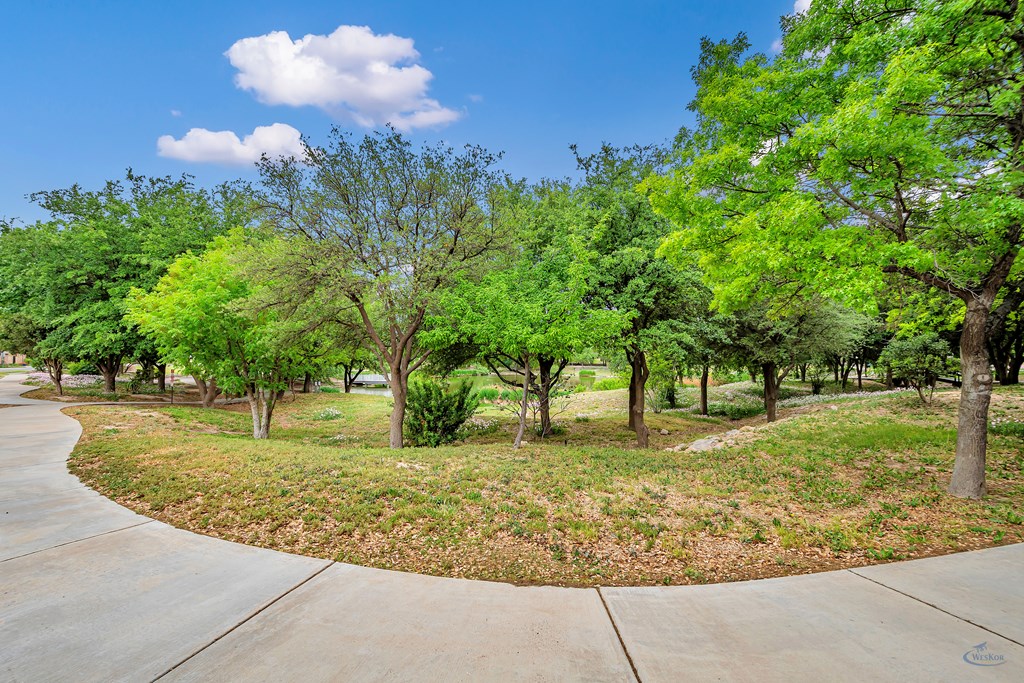 908 Trinidad Place, Midland, Texas image 38