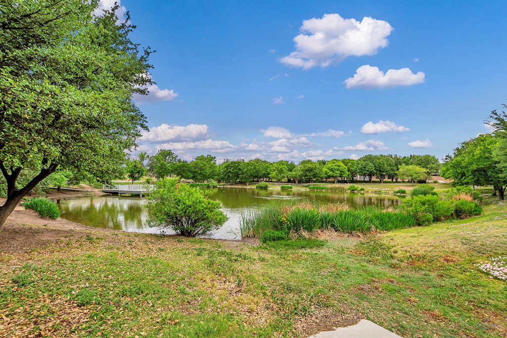 908 Trinidad Place, Midland, Texas image 37