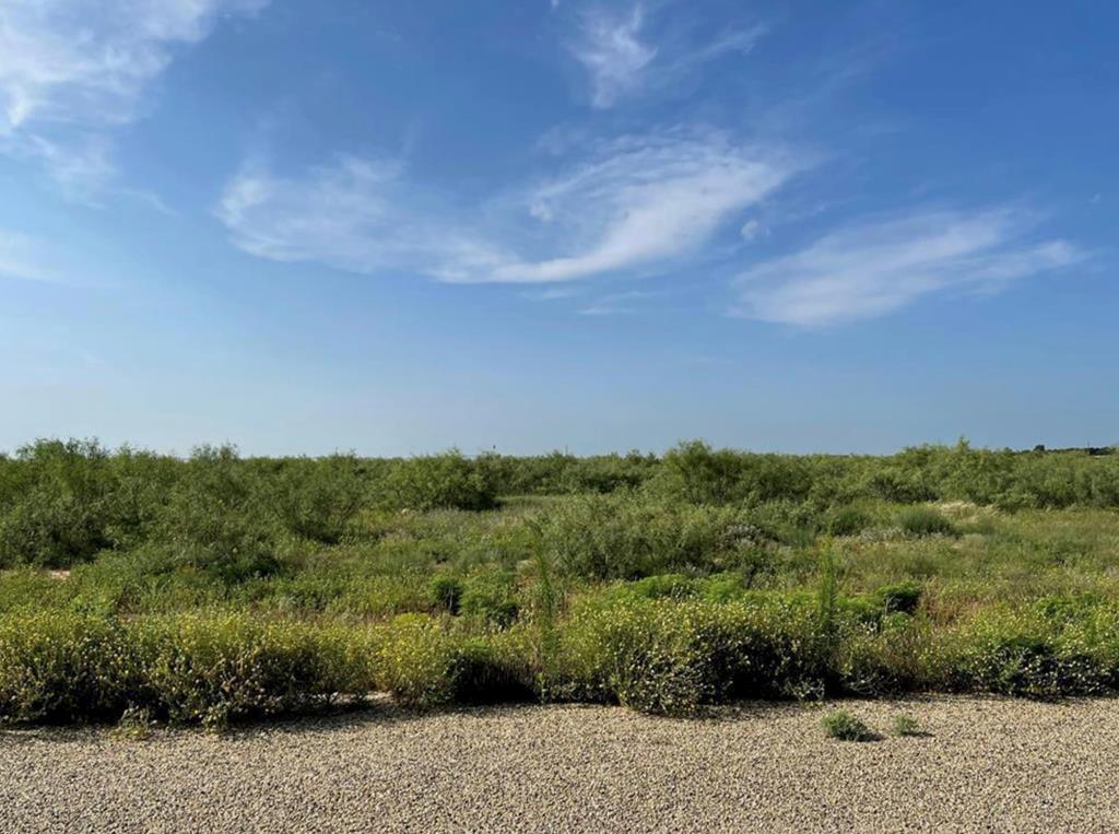 13801 County Rd 113, Midland, Texas image 1