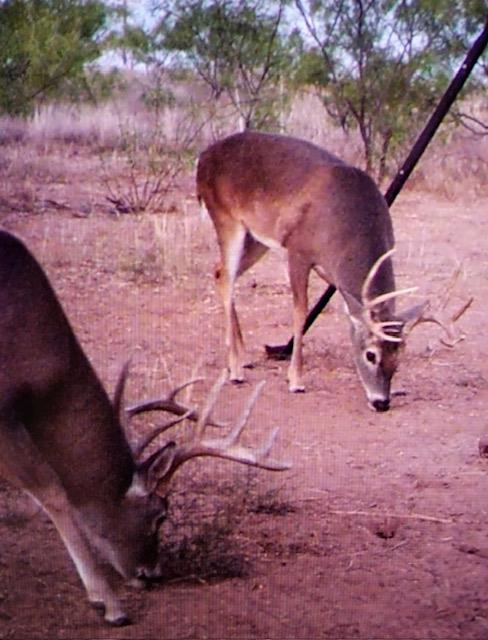 000 Rock House Rd, Big Spring, Texas image 5