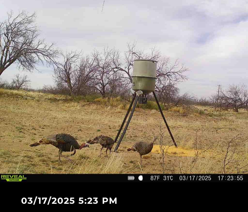000 Rock House Rd, Big Spring, Texas image 10