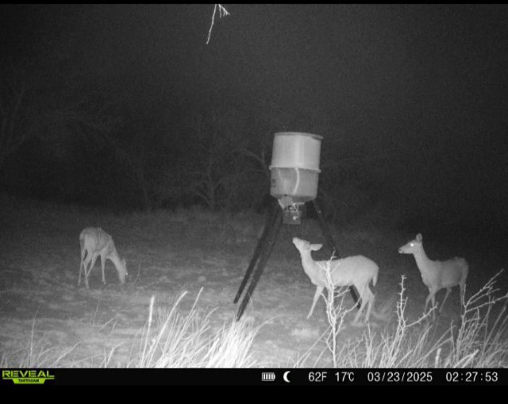 000 Rock House Rd, Big Spring, Texas image 7