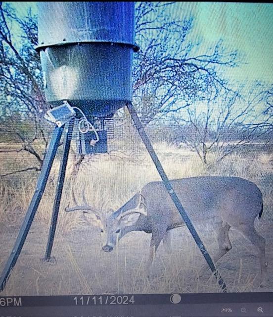 000 Rock House Rd, Big Spring, Texas image 4