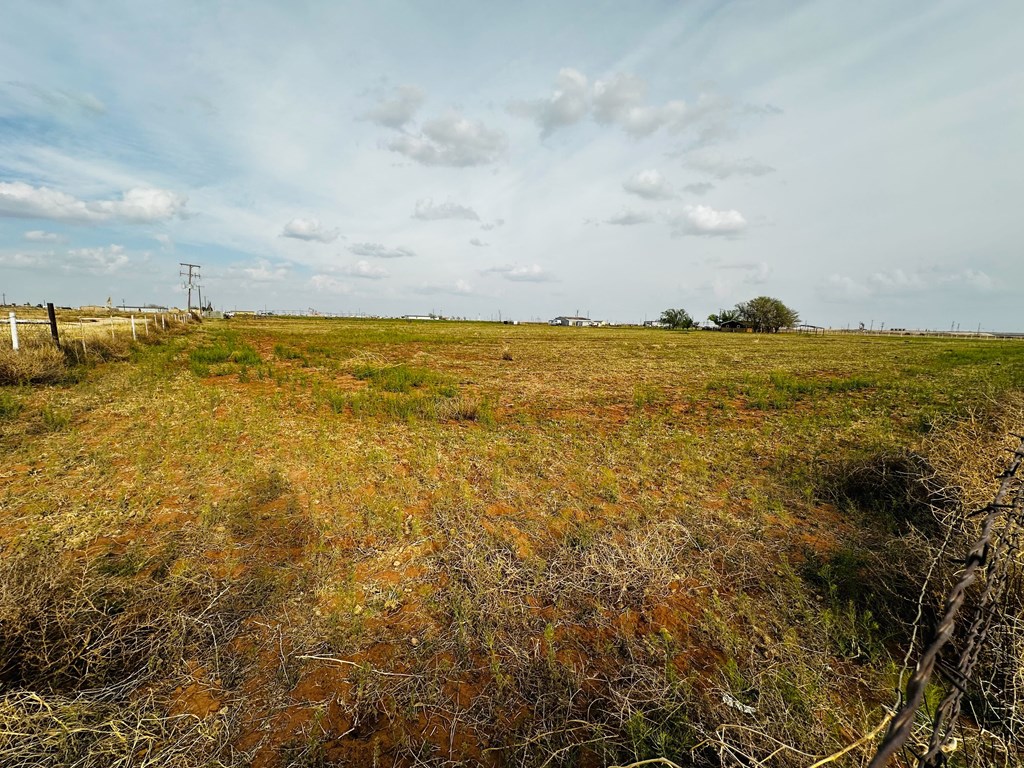 N Alfalfa, Gardendale, Texas image 4