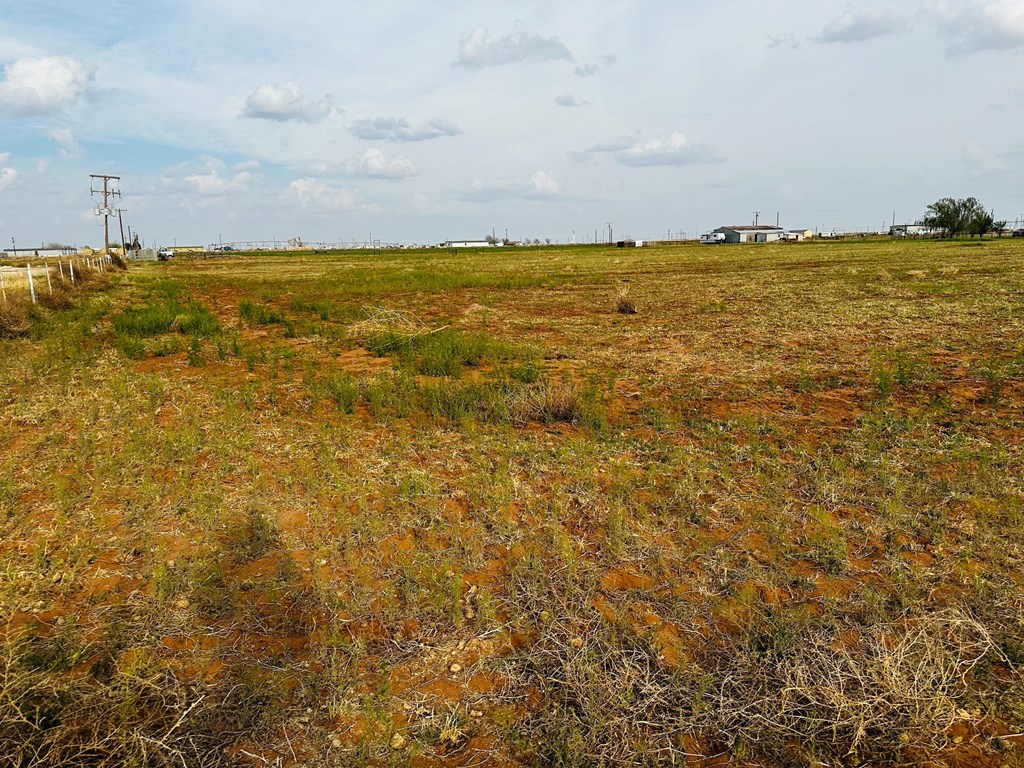 N Alfalfa, Gardendale, Texas image 3