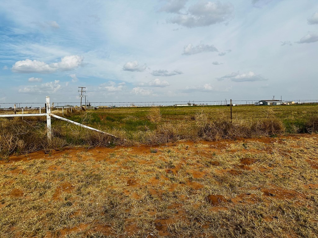 N Alfalfa, Gardendale, Texas image 2