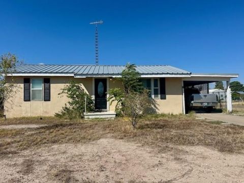 Homes For Sale - 1007 N Park St<br/> Pecos County, Fort Stockton, TX 79735