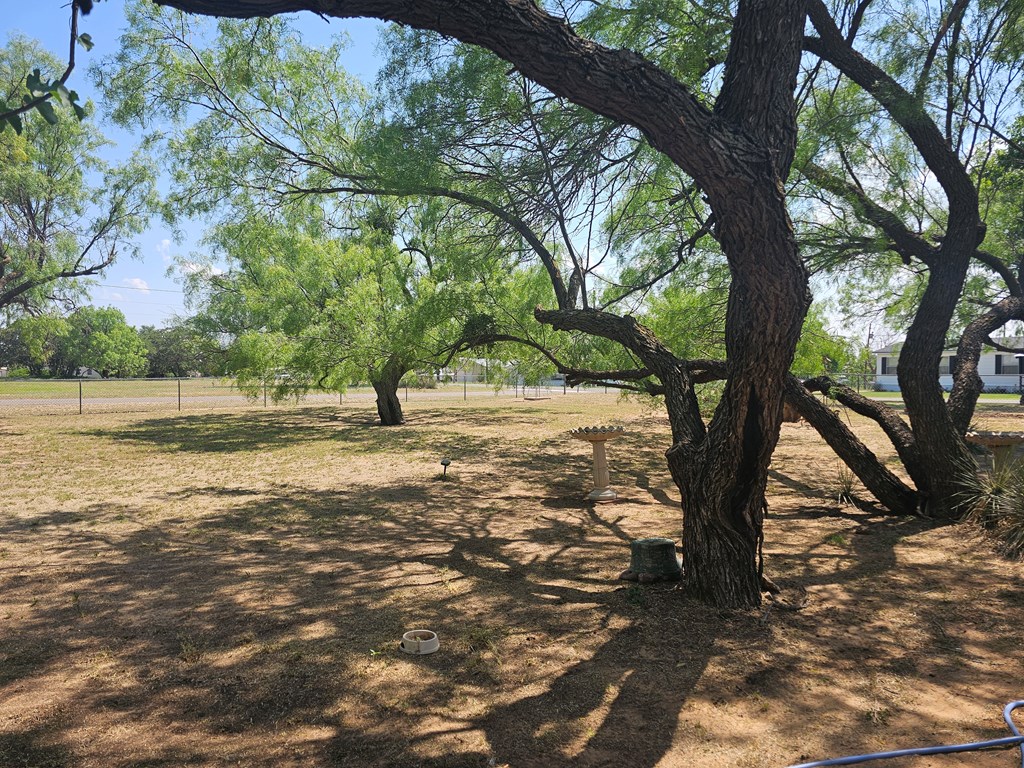 1944 Hemphill St, Colorado City, Texas image 38