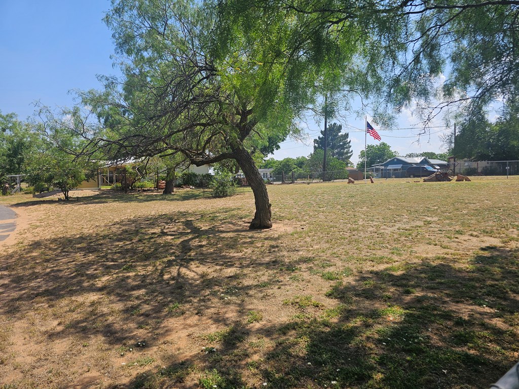 1944 Hemphill St, Colorado City, Texas image 37
