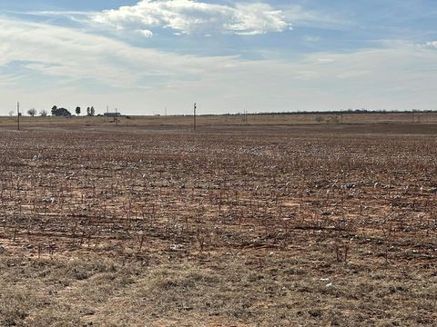 Vacant Land For Sale - 000 County Rd 216<br/> Mitchell County, Colorado City, TX 79512