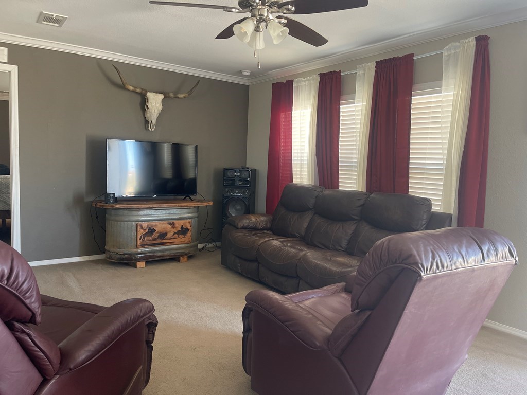 720 Mockingbird Lane, Fort Stockton, Texas image 7