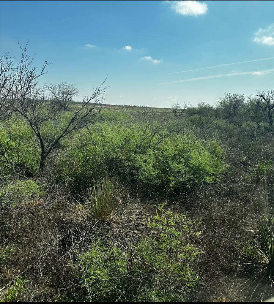 4699 Fm 2319, Loraine, Texas image 12
