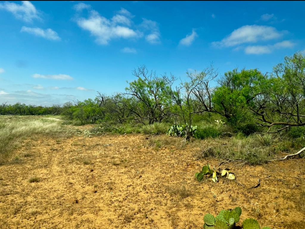 4699 Fm 2319, Loraine, Texas image 16