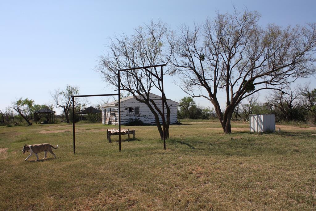4699 Fm 2319, Loraine, Texas image 29