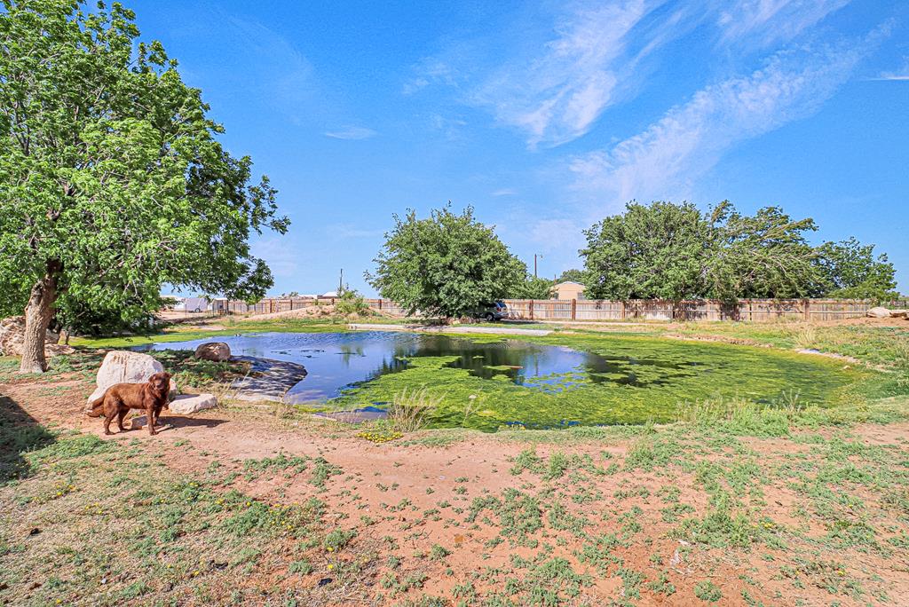 10965 E Emerson St, Gardendale, Texas image 1