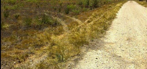 W COUNTY RD 177, ODESSA, TX 79766 - Image eae6f6cece2ef7e7c5bb77514be91f07/97506002