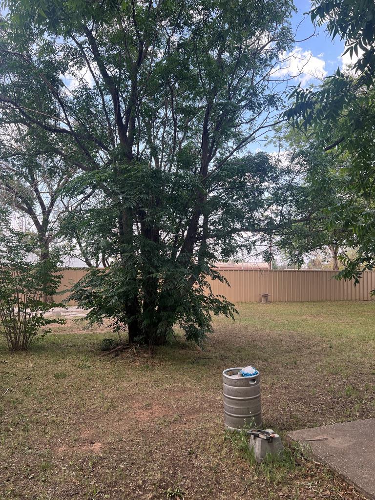 3606 Ave U, Snyder, Texas image 26