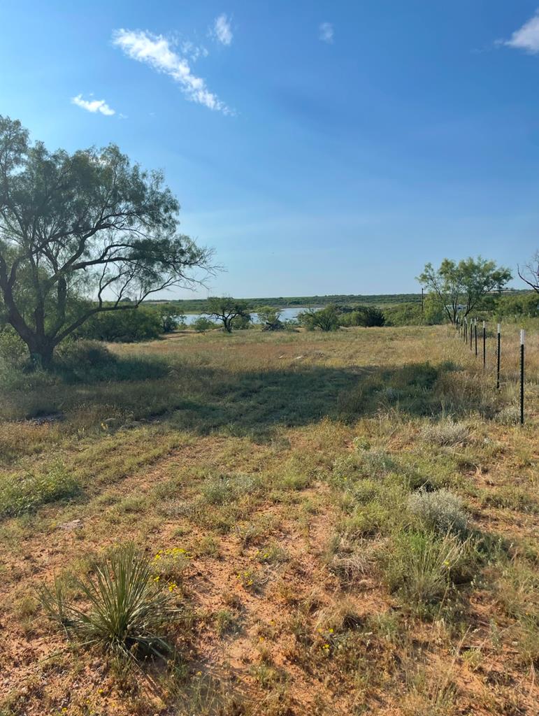 00 Lcr 175, Colorado City, Texas image 1