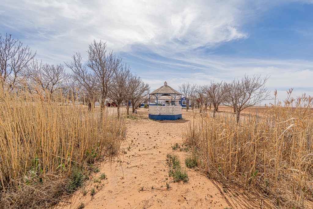 2059 County Rd C3351, Stanton, Texas image 46