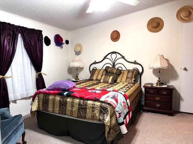 1101 N Atkins, Fort Stockton, Texas image 38