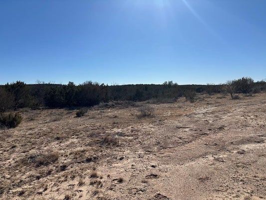 COUNTY RD 4102, HERMLEIGH, TX 79526 - Image f352b1dfcbf09f35c7fd0e90d34aa207/4083927420