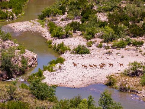 Vacant Land For Sale - 4200 County Rd 411<br/> Crockett County, Ozona, TX 76943