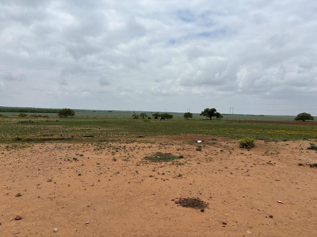 2919 Lcr 252, Colorado City, Texas image 30
