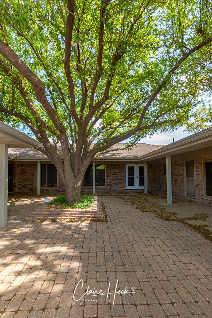 1209 W Pecan Ave, Midland, Texas image 3