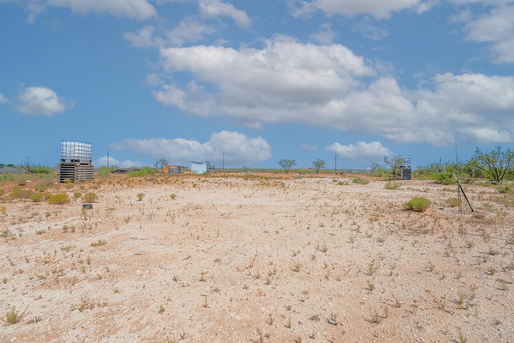 12313 E County Rd 151, Midland, Texas image 1