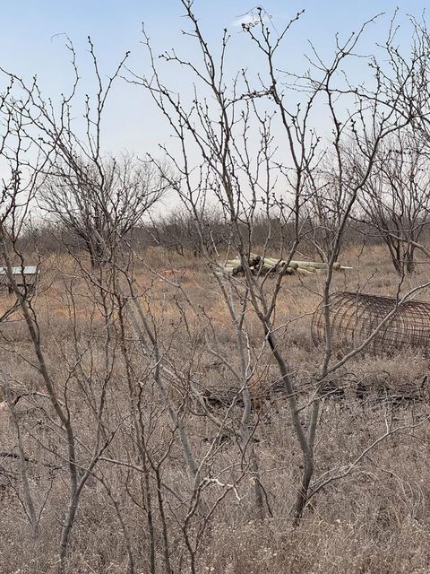 Vacant Land For Sale - 0000 S Fm 461<br/> Howard County, Big Spring, TX 79720