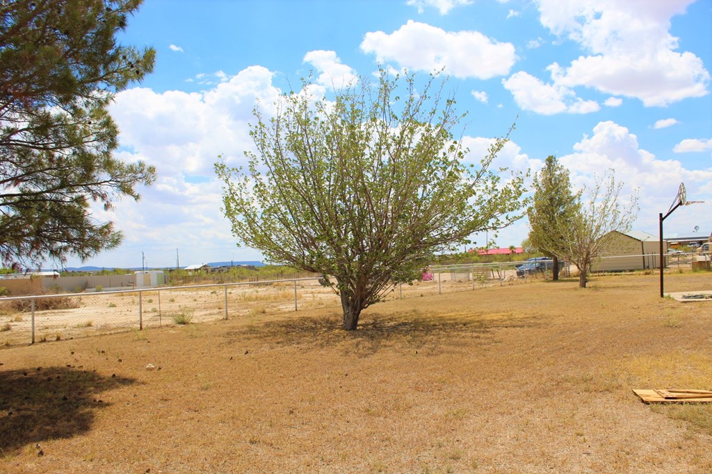 1851 W Gonzalez Loop, Fort Stockton, Texas image 41