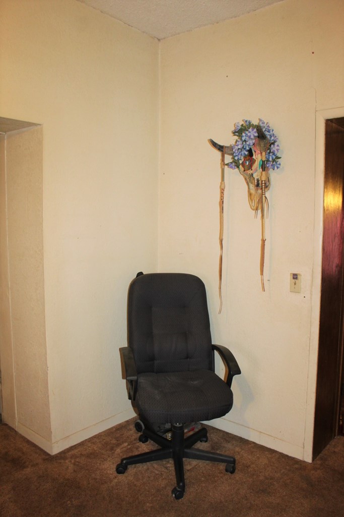 1851 W Gonzalez Loop, Fort Stockton, Texas image 25