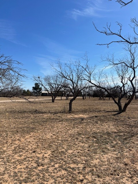 6290 S Hwy 208, Hermleigh, Texas image 33